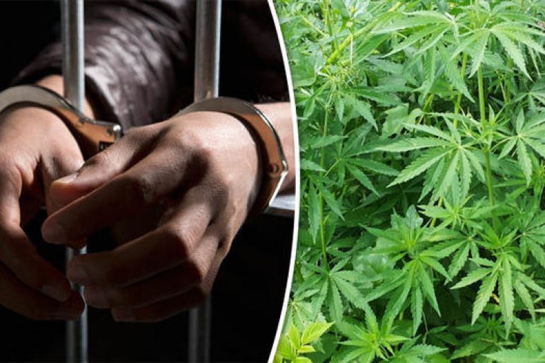 Police arrest marijuana man 881905 exclusive, Αστυνομία, Ναρκωτικά
