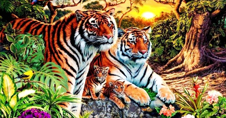 poses tigreis vlepete i eikona poy echei mperdepsei ekatomyria christes toy diadiktyoy VIRAL PHOTOGRAPHY, VIRTUAL ILLUSIONS, TIGERS