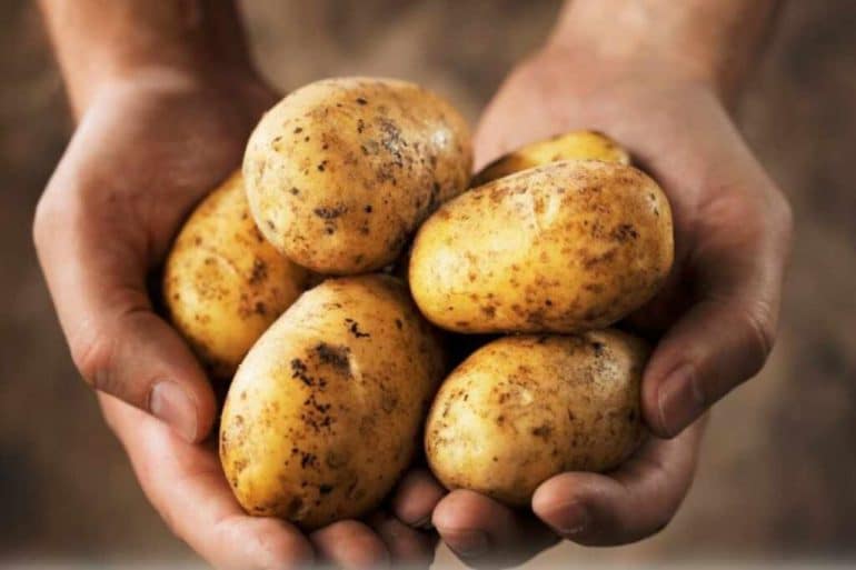 potatoes 1024x682 1 Potato