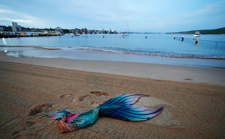 Mermaid tail on a beach